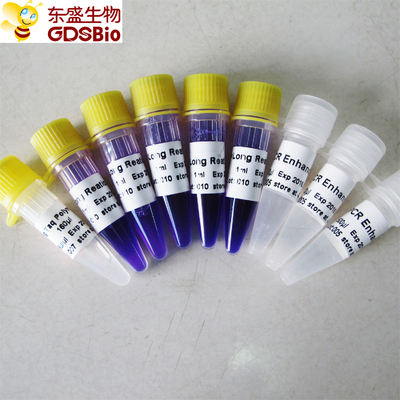 Zestaw Long Taq PCR Master Mix #P3062 5 ml
