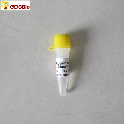 20 mg 1 ml roztworu proteinazy K N9011 Bezbarwny wygląd
