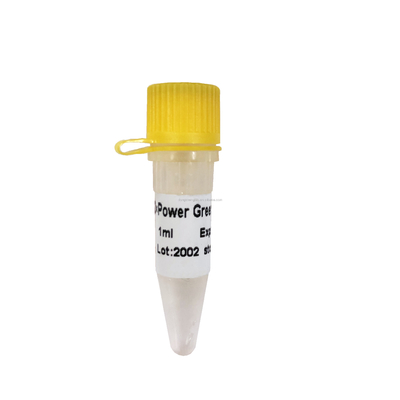Power Green PCR Reagent Mix P2101 Wysoka wydajność amplifikacji
