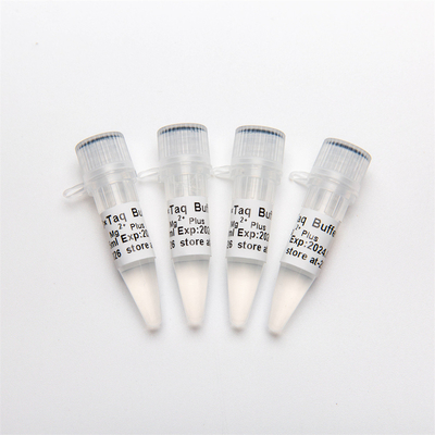 10× Bufor PCR (Mg2+ Plus) P5011 1,25 ml×4