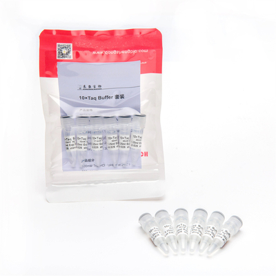 1,25 ml×6 PCR Master Mix 10× bufor do PCR z zestawem Mg2+ P5011b