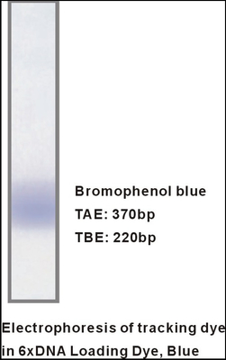 M9051 1 ml x 5 6 × bufor do ładowania żelu DNA do elektroforezy specyficzne odczynniki